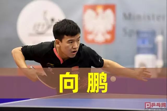 率下滑